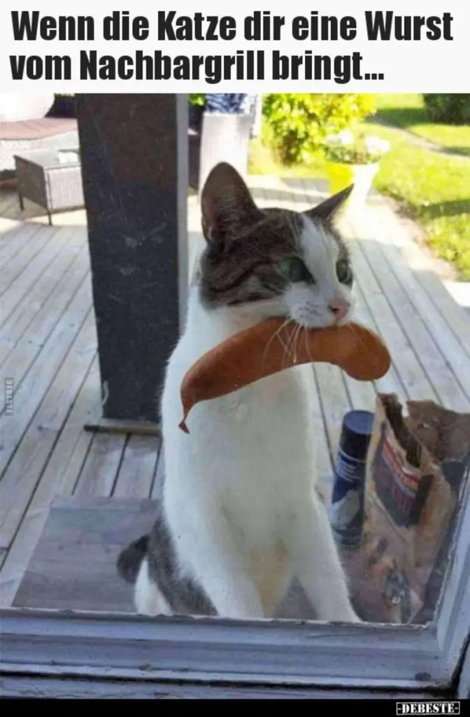 Condolence image of email von Gatita + Timmy + Schnuffi