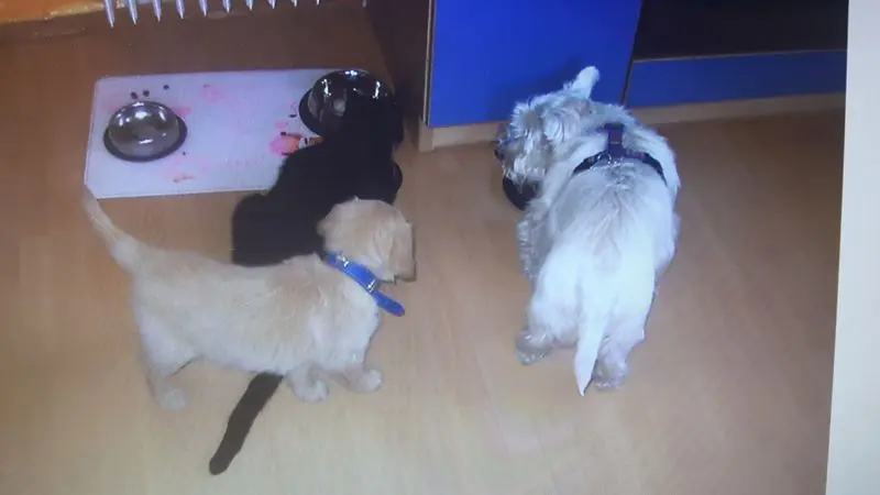 Condolence image of Ellen mit Lina ❤️