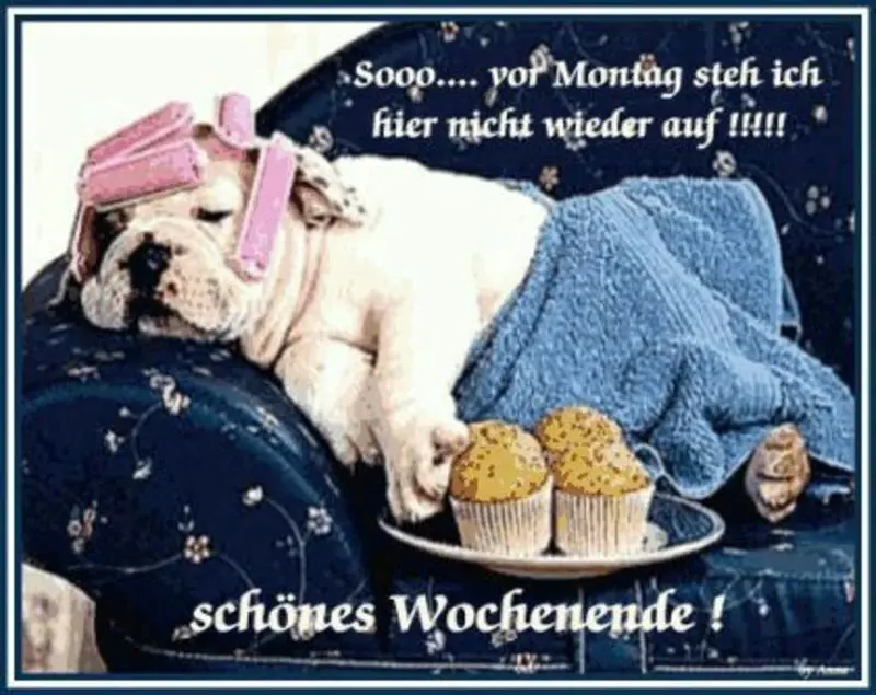 Condolence image of Von Katzemama Silvia an Timmy