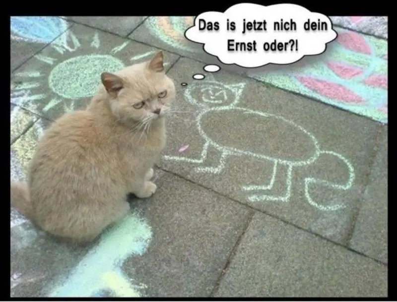 Condolence image of Von Gatita + Timmy + Schnuffi an Mutti Tanja