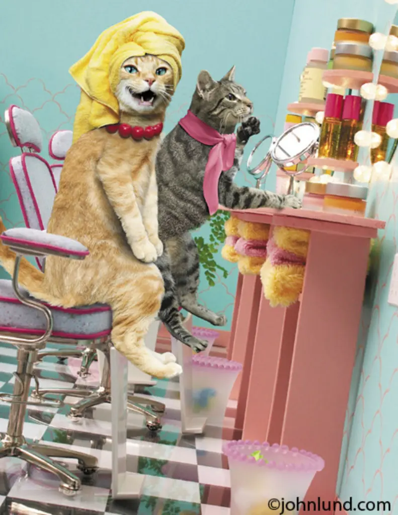 Condolence image of Von Gatita,Timmy,Schnuffi + Mausi an Mutti Tanja