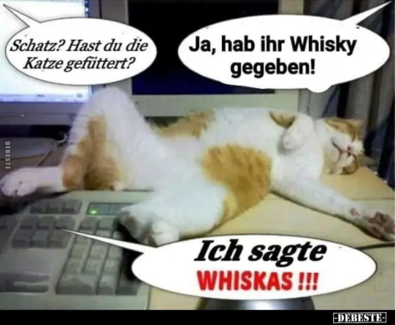 Condolence image of Von Gatita,Timmy, Schnuffi + Mausi an Mutti Tanja