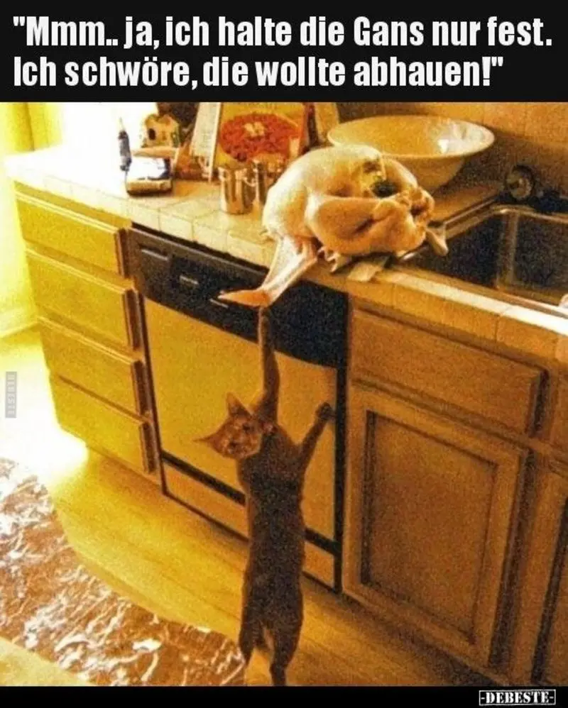 Condolence image of Von Gatita,Timmy, Schnuffi + Mausi an Mutti Tanja