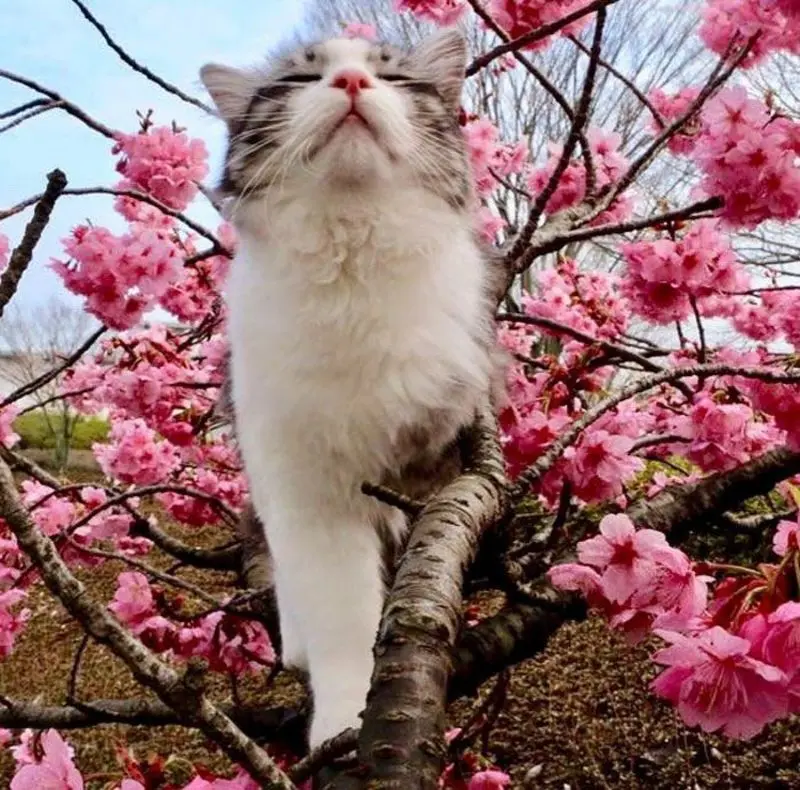 Condolence image of Jeannette mit Sisi und Lissy im ❤️