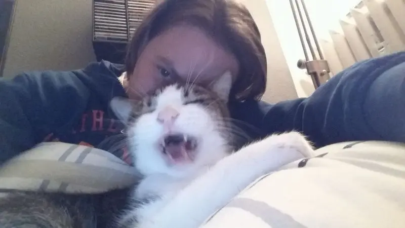 Condolence image of Von Deinem Frauchen Tanja