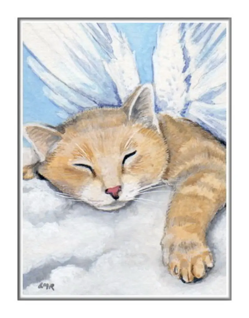 Condolence image of Sabine mit Kaspar tief im Herzen