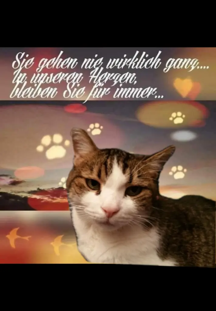 Condolence image of Ellen mit Lina ❤️