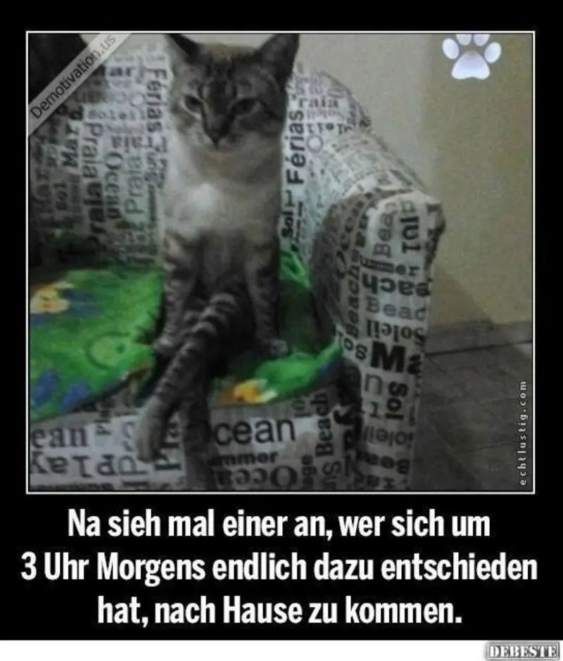 Condolence image of Von Gatita,Timmy,Schnuffi + Mausi an Mutti Tanja