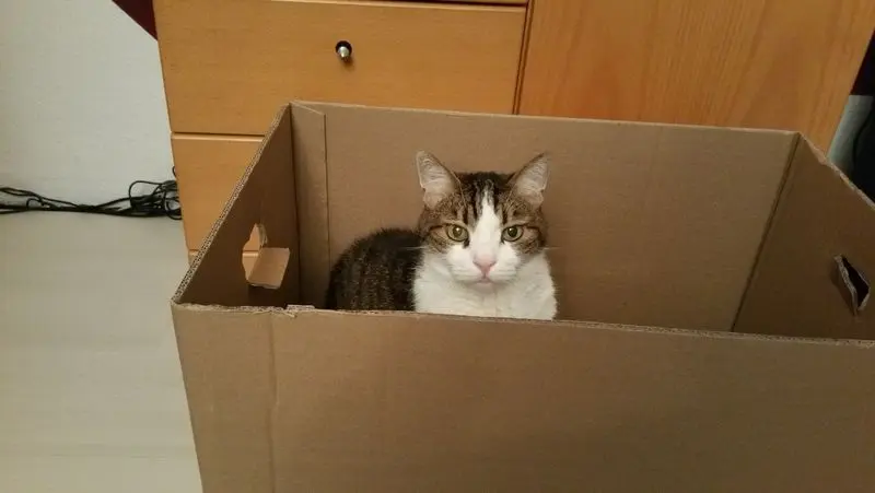 Condolence image of Von Deinem Frauchen Tanja