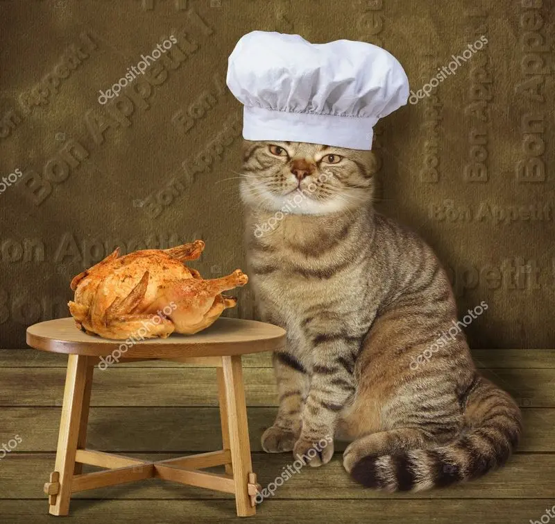 Condolence image of Von Katzenmama Silvia an Engelchen Timmy