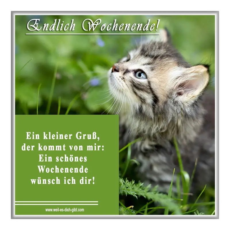 Condolence image of Sabine mit Kaspar tief im Herzen