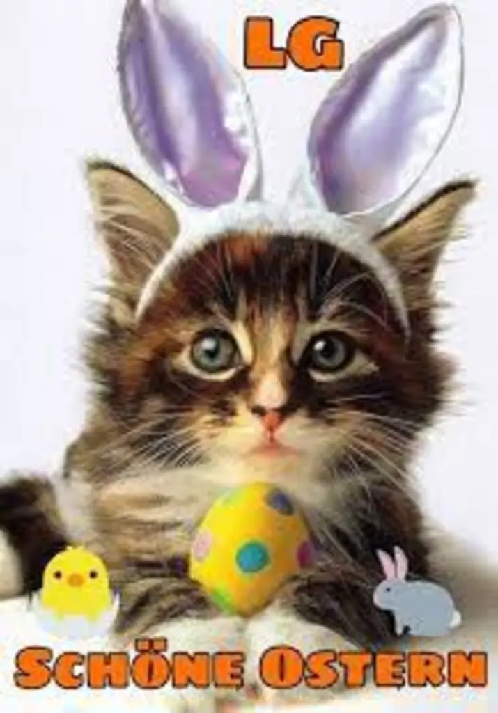 Condolence image of Jutta mit Flash im Herzen 17.01.20