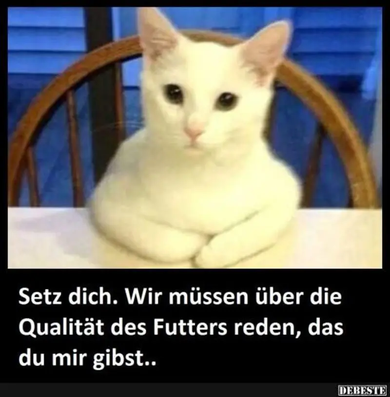 Condolence image of Von Gatita,Timmy,Schnuffi + Mausi an Mutti Tanja