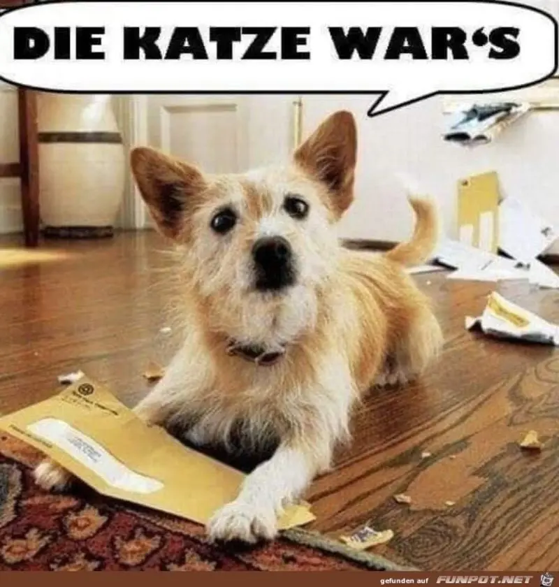 Condolence image of Von Gatita,Timmy,Schnuffi + Mausi an Mutti Tanja