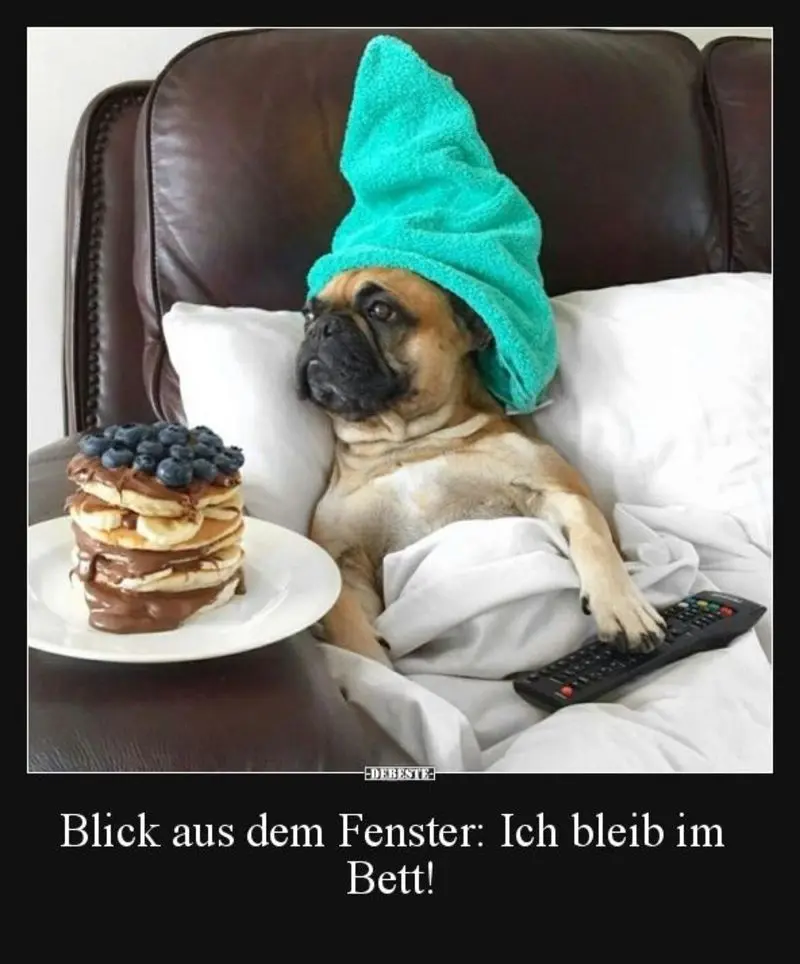 Condolence image of Von Gatita,Timmy,Schnuffi + Mausi an Mutti Tanja