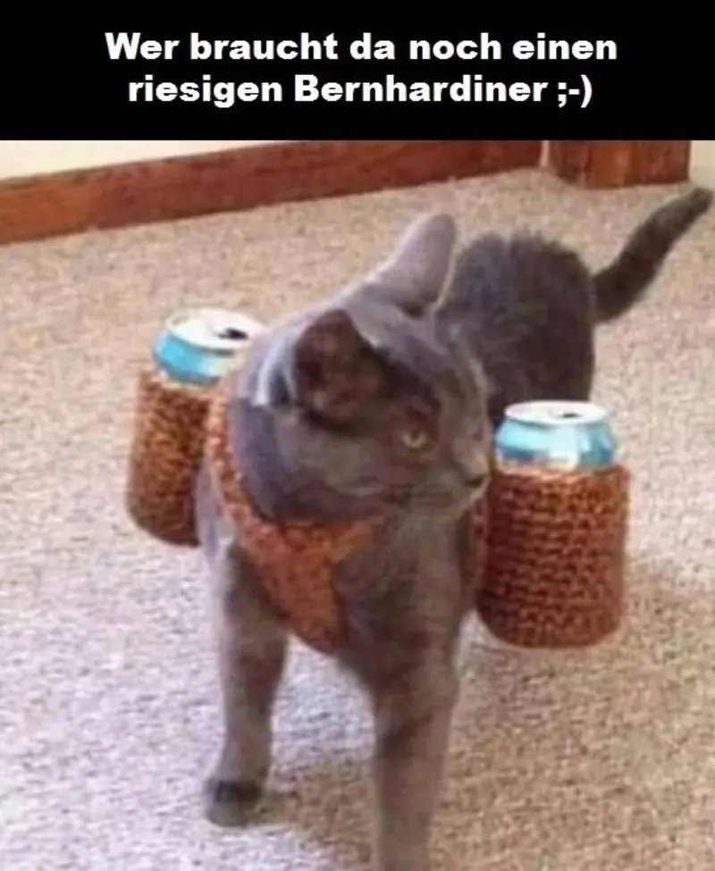 Condolence image of Von Gatita,Timmy,Schnuffi + Mausi an Mutti Tanja