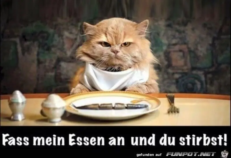 Condolence image of Unbekannt