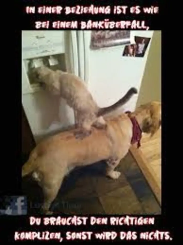 Condolence image of Von Gatita,Timmy,Schnuffi + Mausi an Mutti Tanja