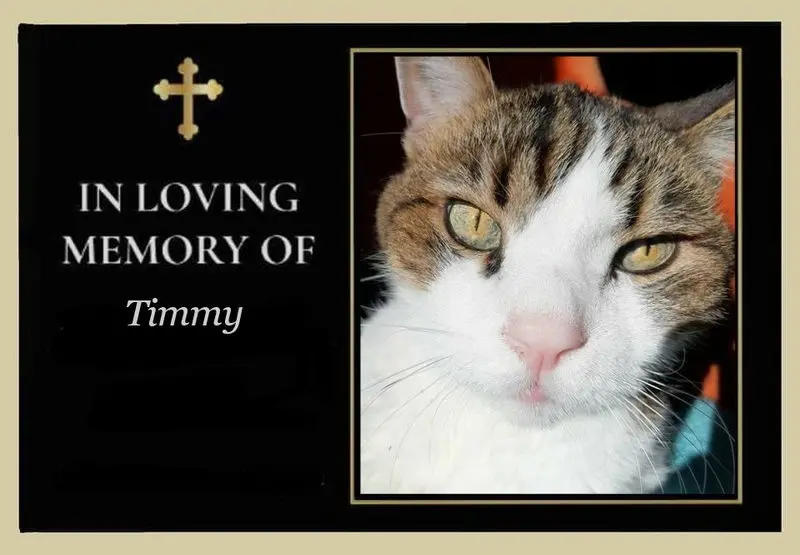 Condolence image of Sabine mit Kaspar tief im Herzen