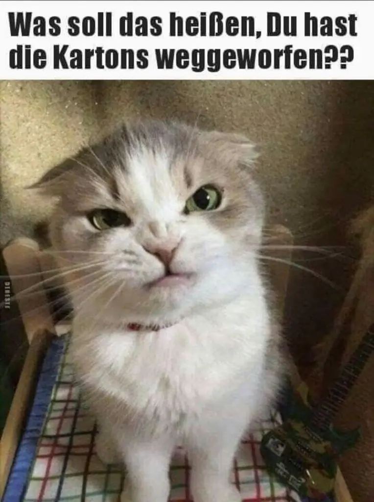 Condolence image of Von Gatita,Timmy,Schnuffi + Mausi an Mutti Tanja