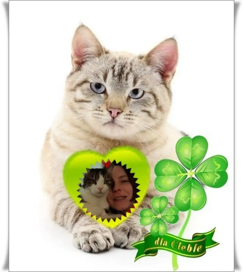 Condolence image of ❤️❤️❤️❤️❤️❤️❤️❤️❤️❤️❤️❤️❤️❤️