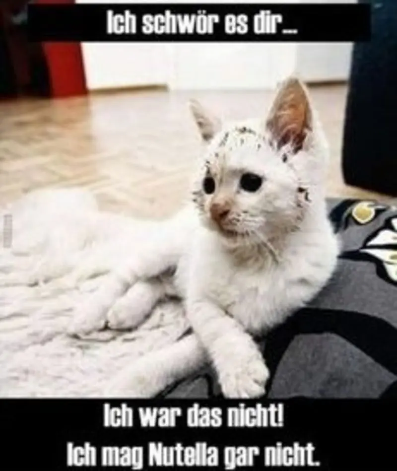 Condolence image of Von Gatita,Timmy,Schnuffi + Mausi an Mutti Tanja