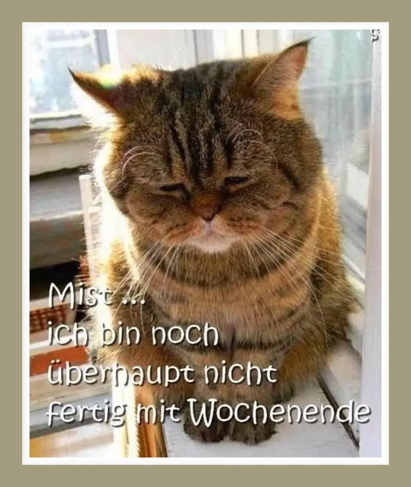 Condolence image of Wochenstart❤️