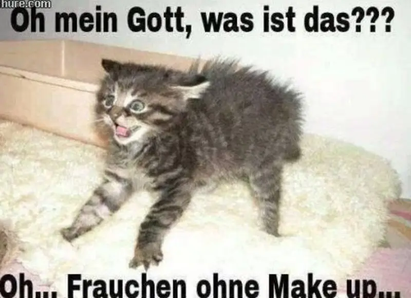 Condolence image of Von Gatita,Timmy,Schnuffi + Mausi an Mutti Tanja