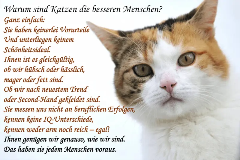 Condolence image of Jutta mit Flash ❤️.