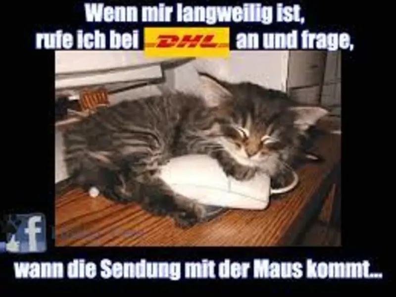 Condolence image of Von Gatita,Timmy,Schnuffi + Mausi an Mutti Tanja