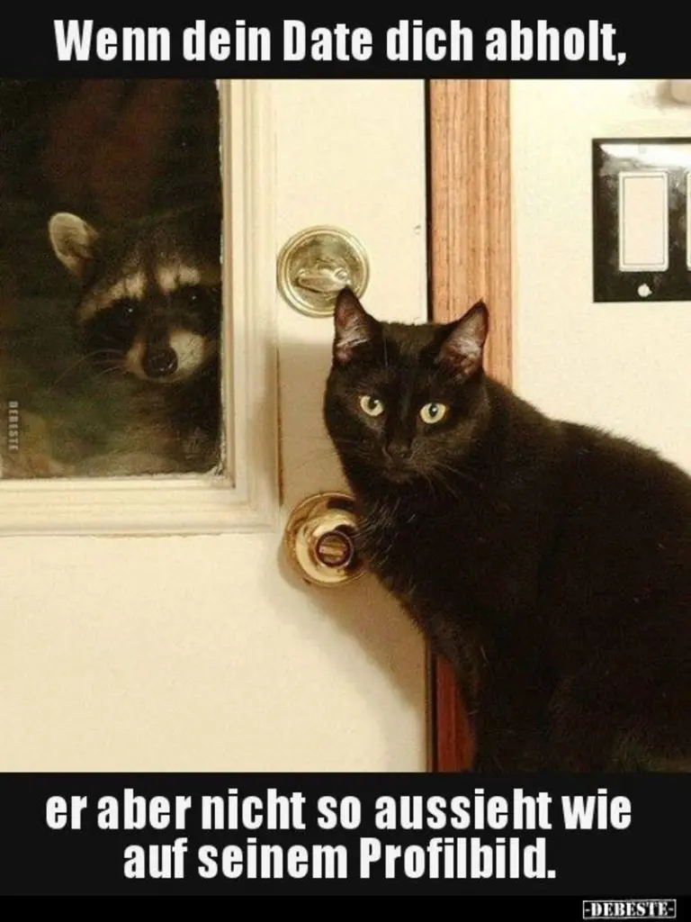 Condolence image of Von Gatita,Timmy,Schnuffi + Mausi an Mutti Tanja