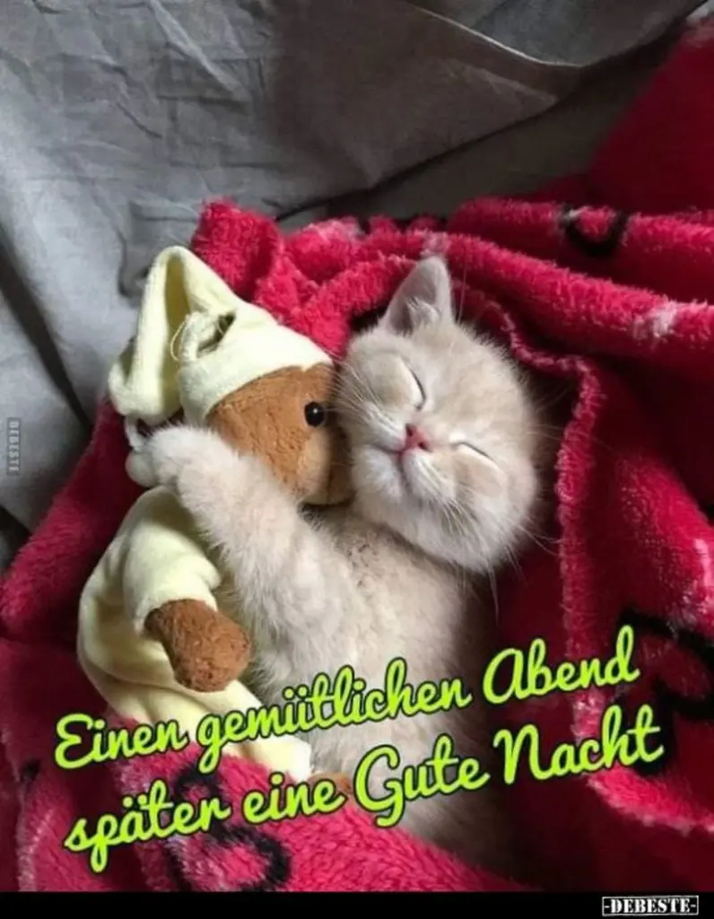 Condolence image of Ellen mit Lina ❤️und all meinen Sternchen ❤️