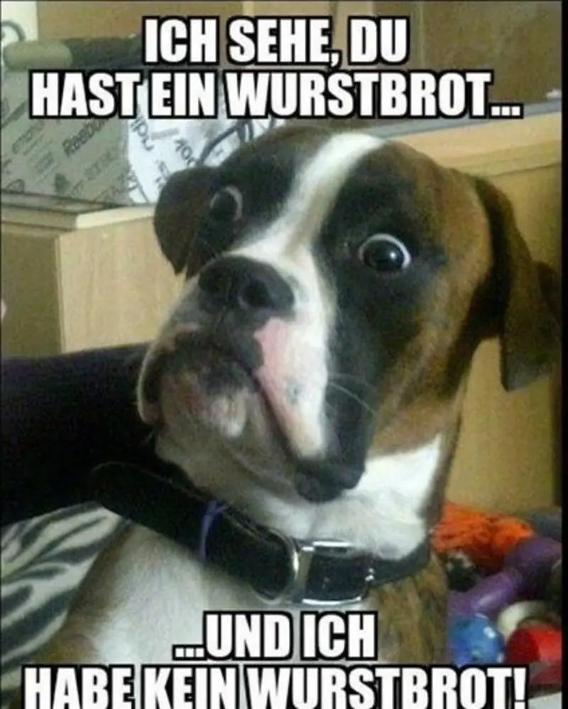 Condolence image of Von Gatita,Timmy,Schnuffi + Mausi an Mutti Tanja