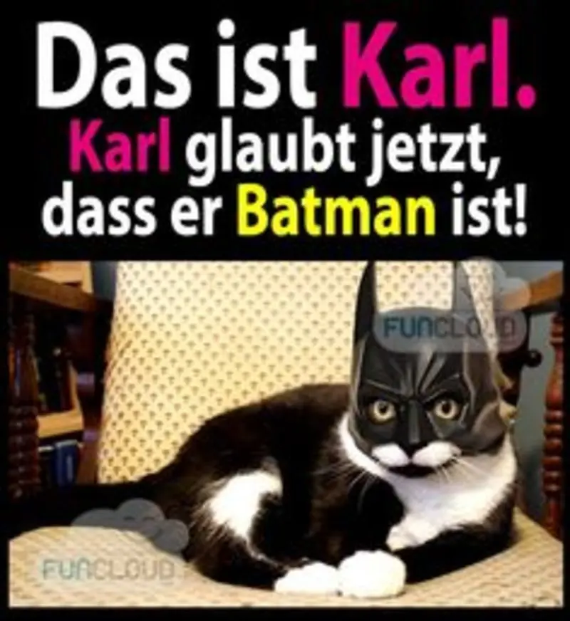 Condolence image of Von Gatita,Timmy, Schnuffi + Mausi an Mutti Tanja