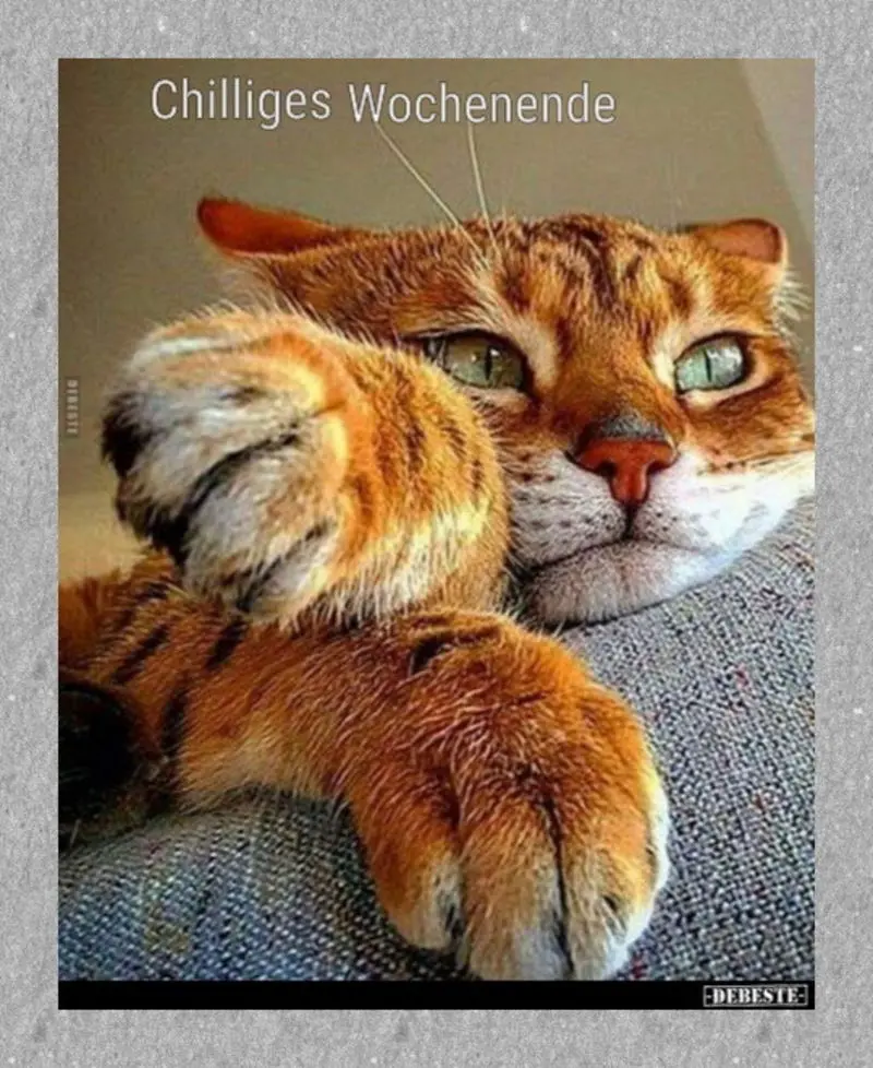 Condolence image of Sabine mit Kaspar tief im Herzen