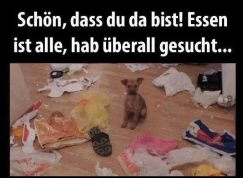 Condolence image of Von Gatita,Timmy,Schnuffi + Mausi an Mutti Tanja