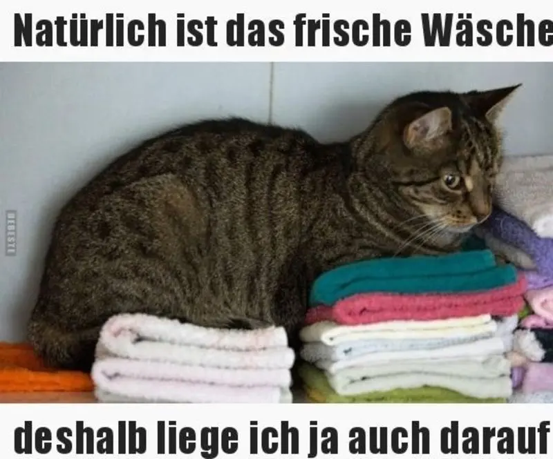 Condolence image of Silvia