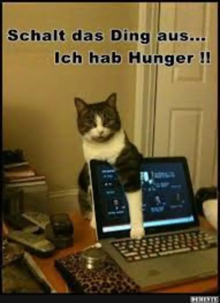 Condolence image of Von Gatita,Timmy,Schnuffi + Mausi an Mutti Tanja