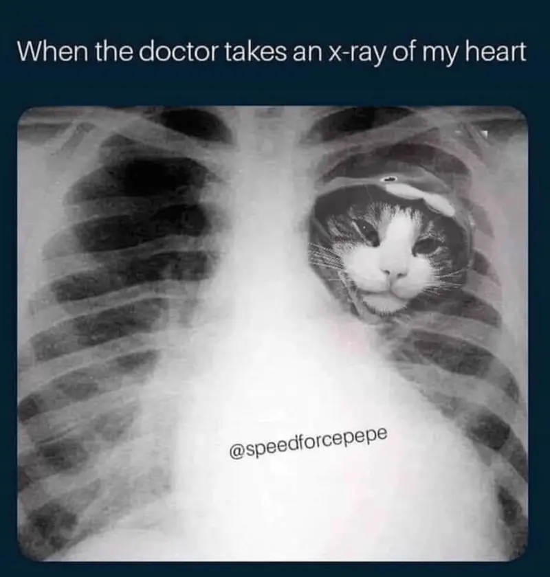 Condolence image of Von Deinem Frauchen Tanja