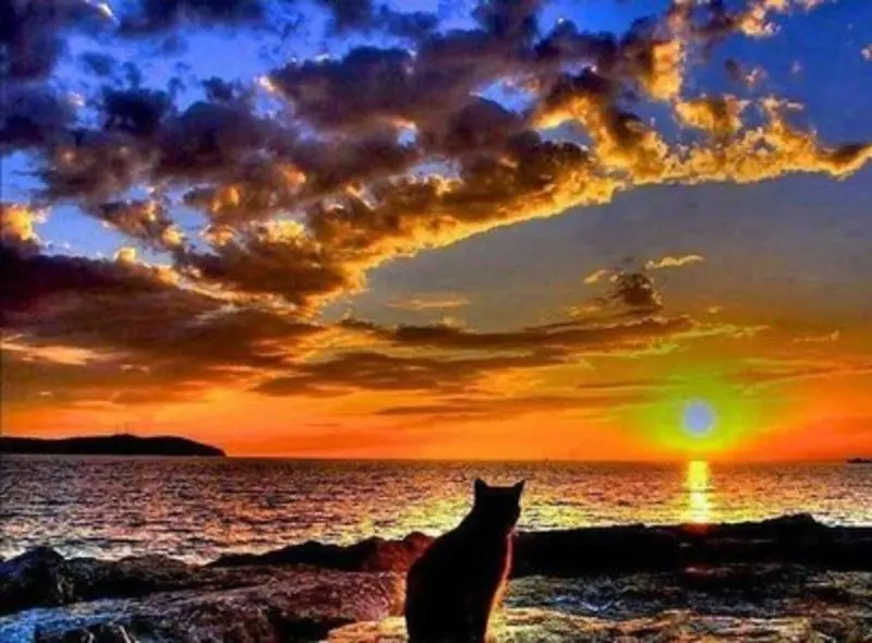 Condolence image of Sternchenpost ⭐