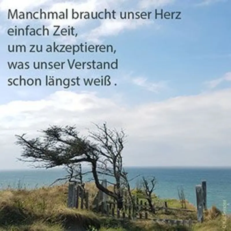 Condolence image of Unbekannt