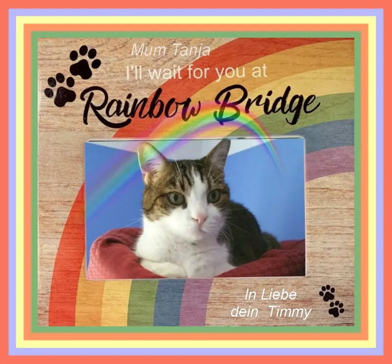 Condolence image of Sabine mit Kaspar tief im Herzen