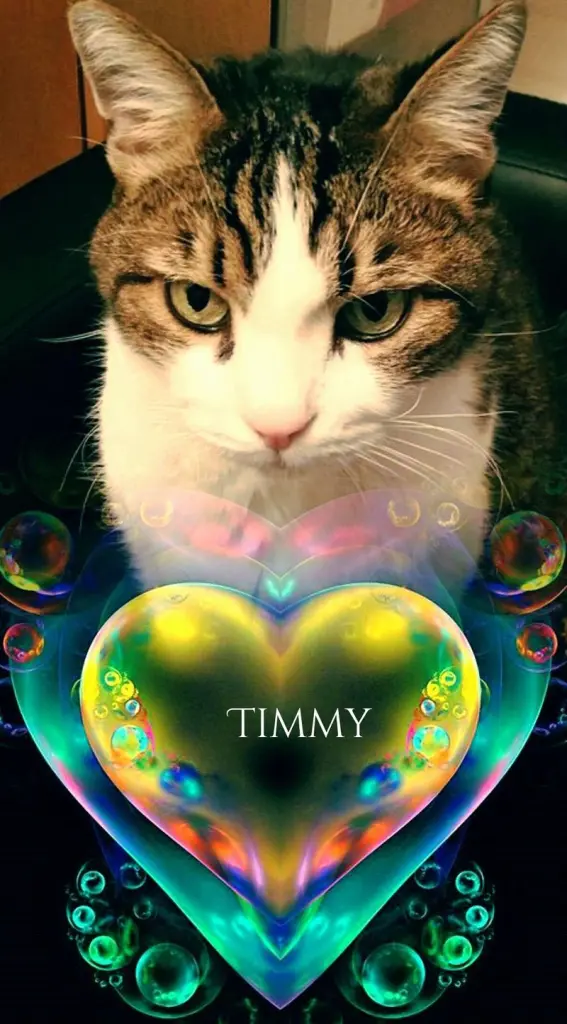 Condolence image of Ellen mit Lina ❤️und all meinen Sternchen ❤️