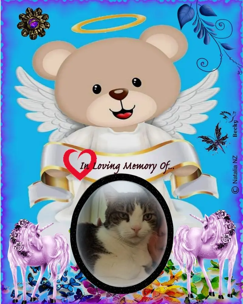 Condolence image of Gute Nacht❤️❤️❤️