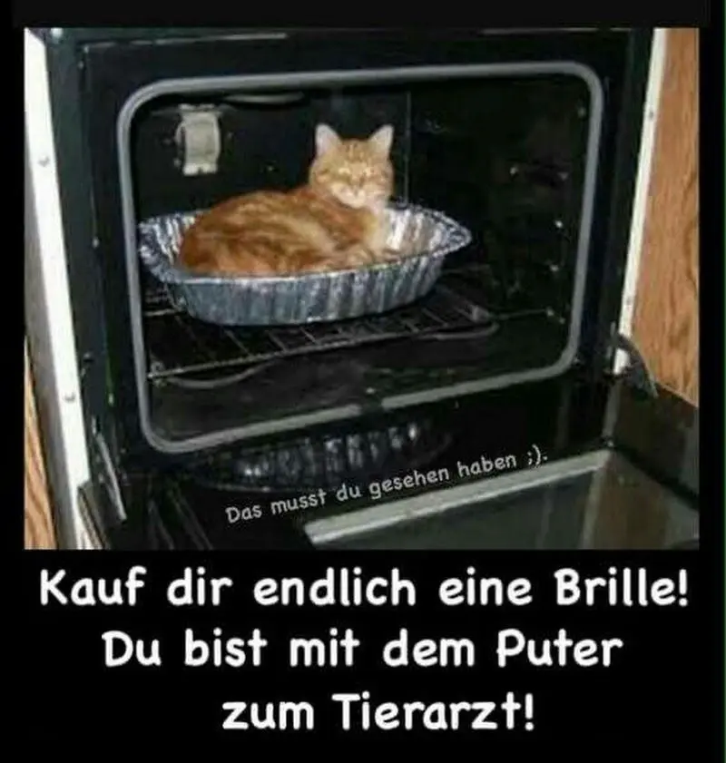 Condolence image of Post v. Gatita+Timmy+Schnuffi+Mausi an Mutti Tanja