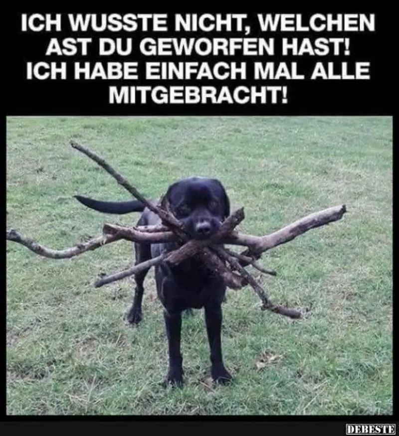 Condolence image of Post v. Gatita+Timmy+Schnuffi+Mausi an Mutti Tanja