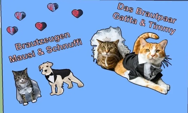 Condolence image of Post von Gatita an Katzenmutti Tanja