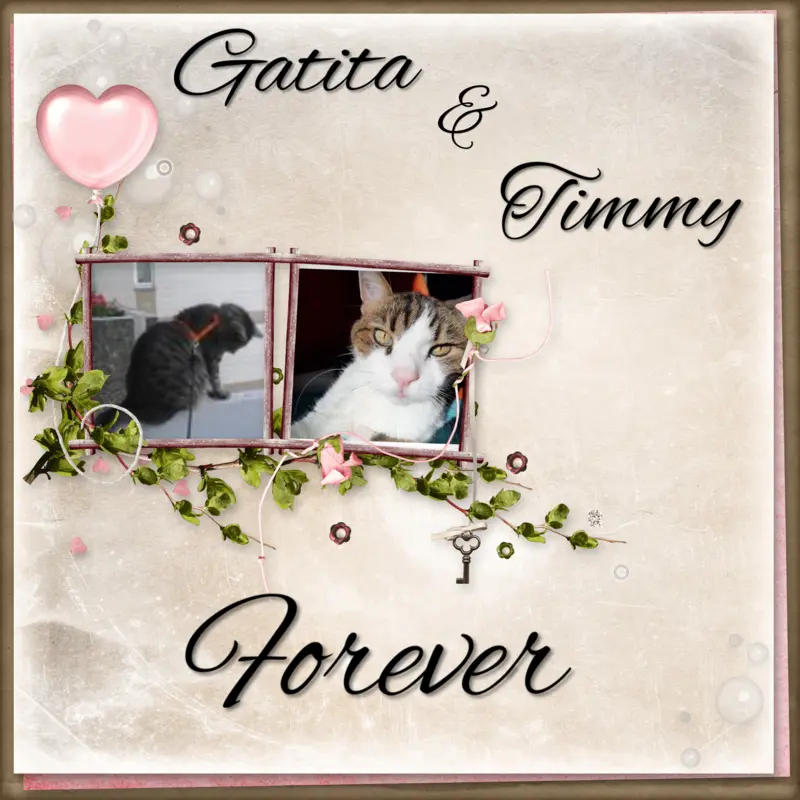 Condolence image of Bunny 