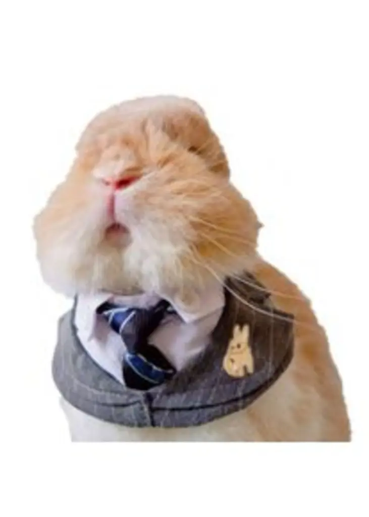 Andachtsbild von Sternchenpost ⭐