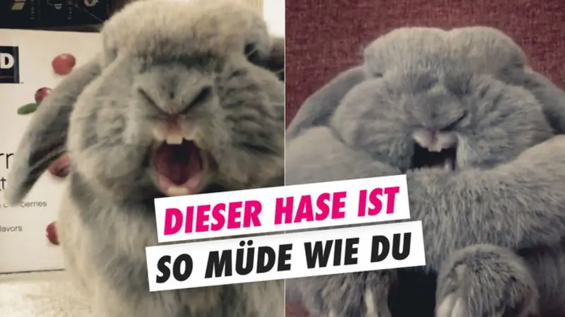 Andachtsbild von Sternchenpost ⭐